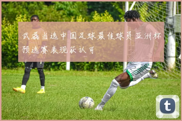 武磊当选中国足球最佳球员亚洲杯预选赛表现获认可