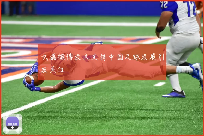 武磊微博发文支持中国足球发展引发关注