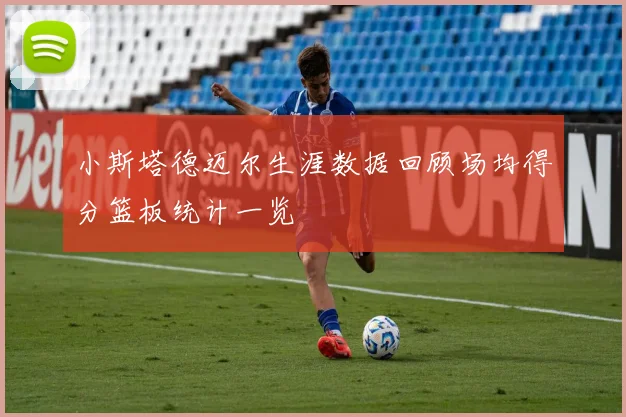 小斯塔德迈尔生涯数据回顾场均得分篮板统计一览