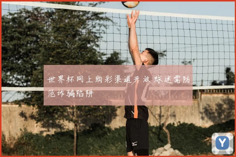 世界杯网上购彩渠道开放 球迷需防范诈骗陷阱