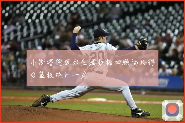 小斯塔德迈尔生涯数据回顾场均得分篮板统计一览