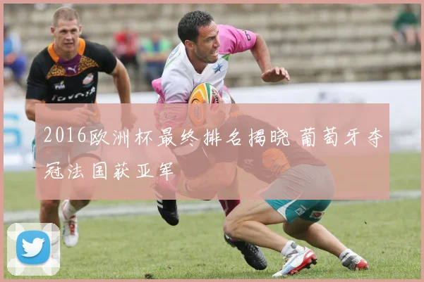 2016欧洲杯最终排名揭晓 葡萄牙夺冠法国获亚军