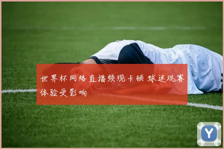 世界杯网络直播频现卡顿 球迷观赛体验受影响
