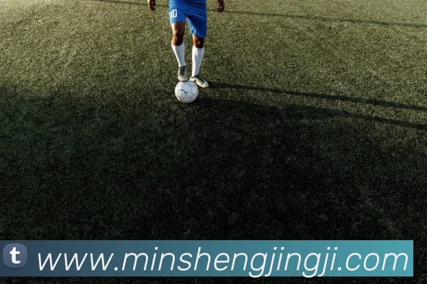 三亿体育网页版登录入口(China)官方网站APP 封面图